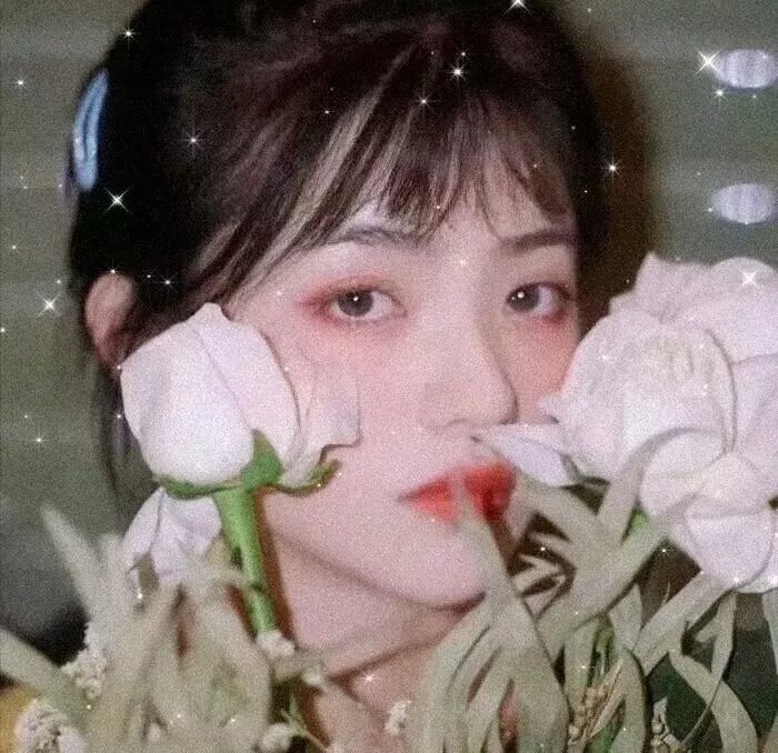厄夜变奏曲